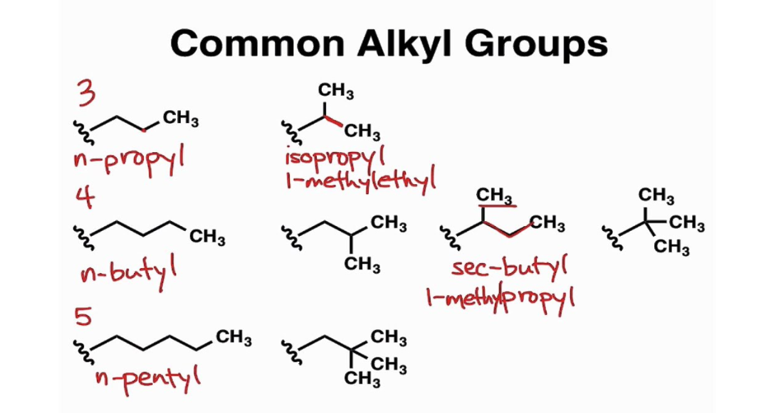 What Is An Alkyl Group? Uses
